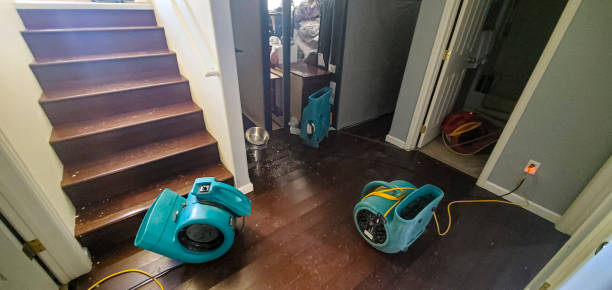 Marine, IL Water damage restoration Pros