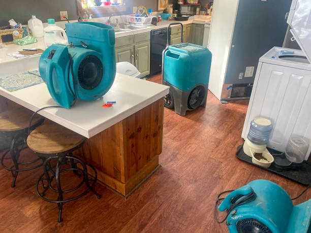 Best Water damage restoration mold remediation  in Marine, IL