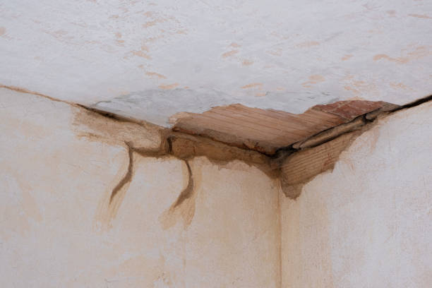 Best Water damage restoration insurance claims  in Marine, IL