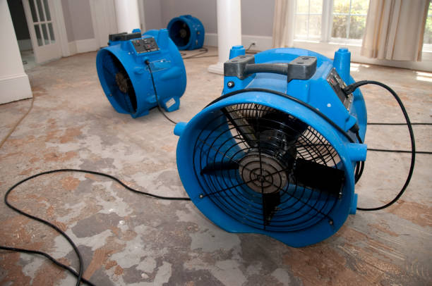 Best Water damage cleanup near me  in Marine, IL