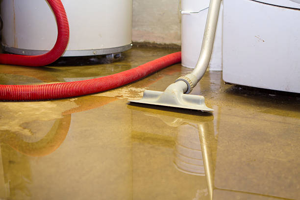 Best Flooded house restoration  in Marine, IL