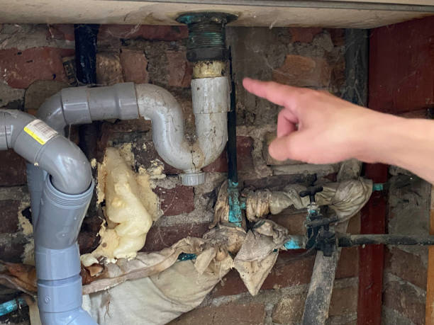 Best Water damage restoration company  in Marine, IL