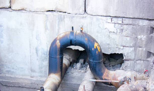 Best Ceiling water damage repair  in Marine, IL