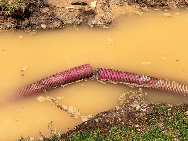 Best Emergency water damage restoration  in Marine, IL