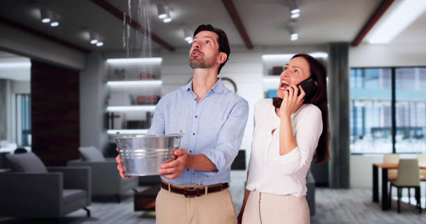 Best Commercial water damage restoration  in Marine, IL