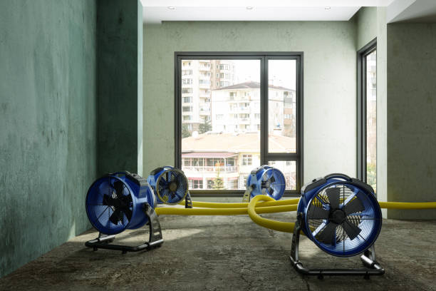 Best Water damage repair service  in Marine, IL