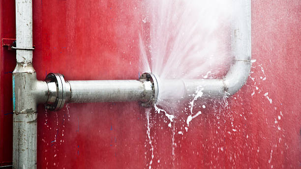 Best Carpet water damage restoration  in Marine, IL
